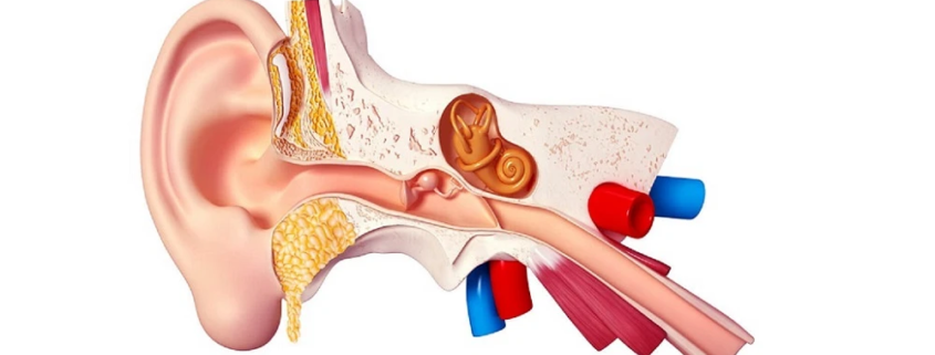 علت ضعیف شدن عصب گوش چیست؟